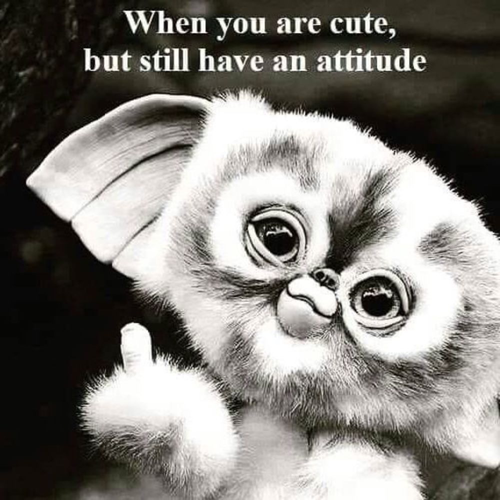 Meet your Posher, Ashby